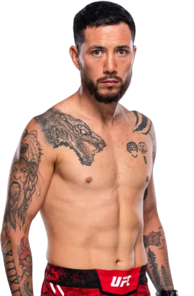 Luis Pajuelo