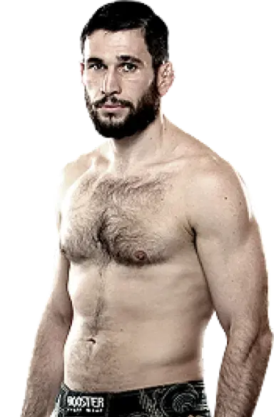 Amir Sadollah