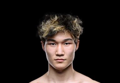 Hong Chengzhi