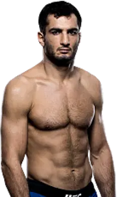 Gegard Mousasi