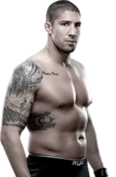 Brendan Schaub