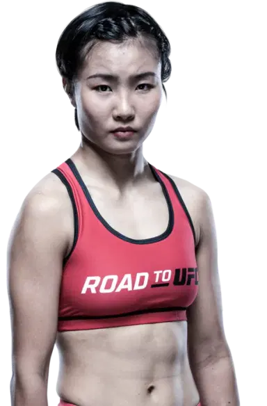 Feng Xiaocan
