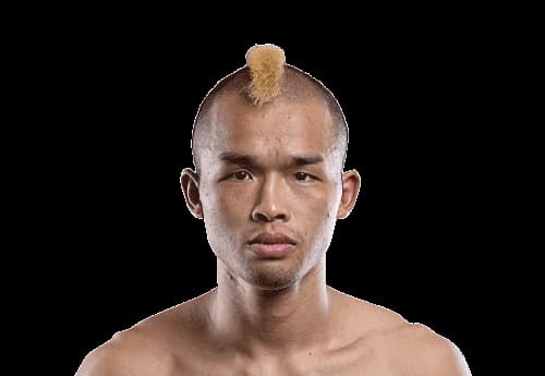 Wang Junguang
