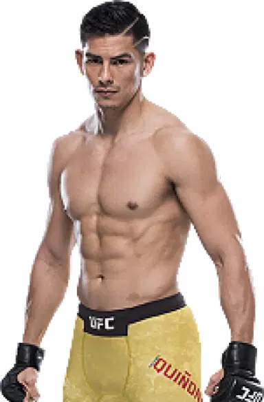 Michel Quinones