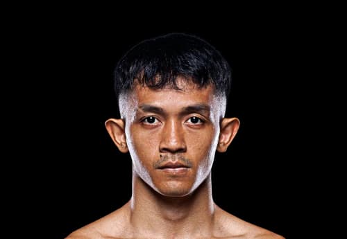 Delfan Dwi Satrio