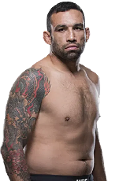 Fabricio Werdum