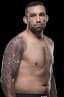 Fabricio Werdum