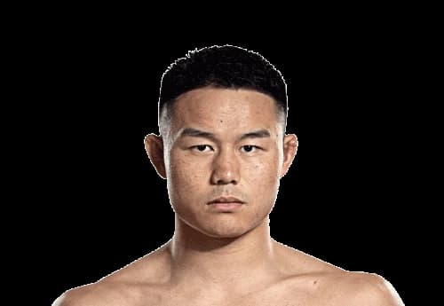 Xiong Pi Ping