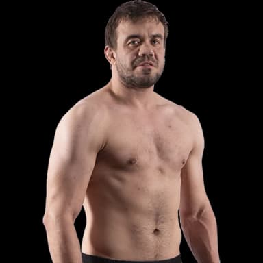 Vladimir Fedin