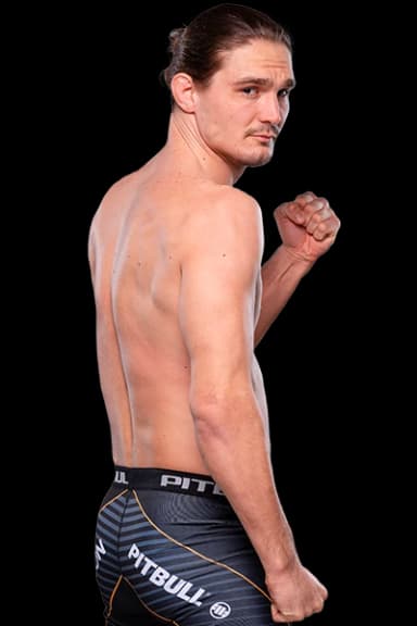 Predrag Bogdanović