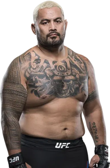 Mark Hunt