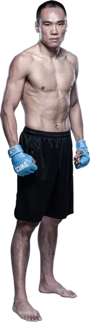 Ding Meng