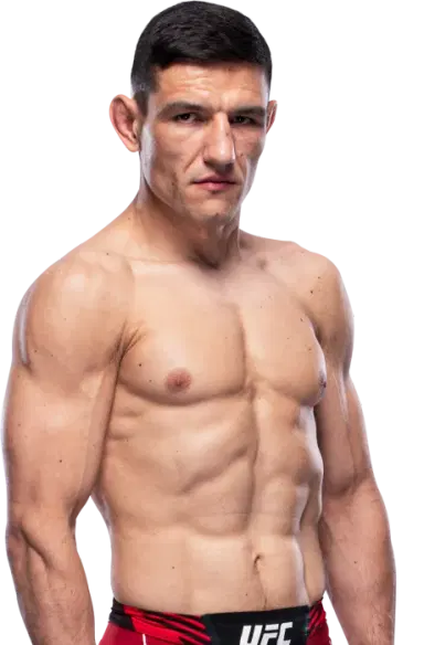 Damir Hadzovic